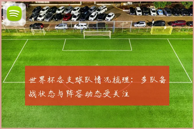 世界杯各支球队情况梳理：多队备战状态与阵容动态受关注