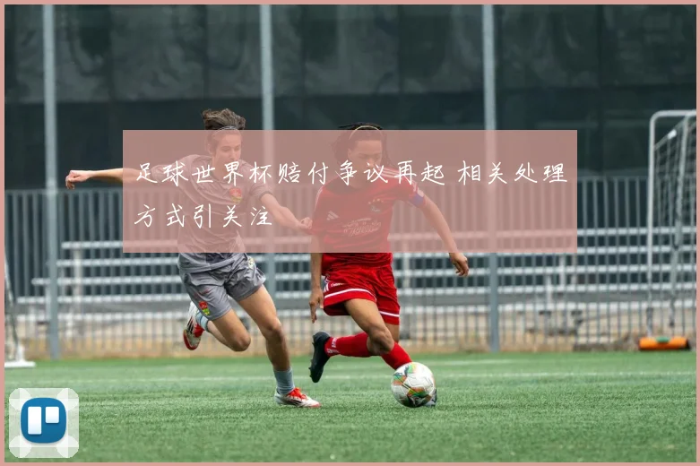 足球世界杯赔付争议再起 相关处理方式引关注