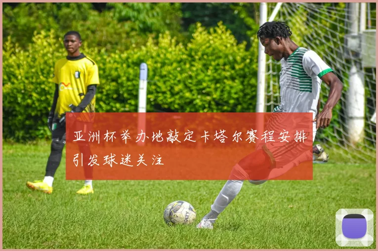 亚洲杯举办地敲定卡塔尔赛程安排引发球迷关注